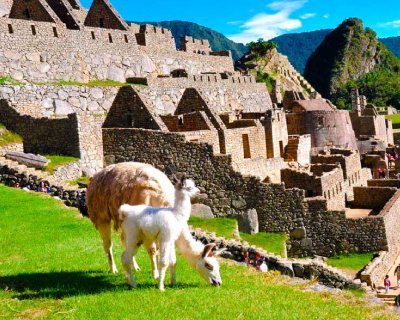 machupicchu